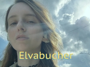 Elvabucher