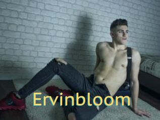 Ervinbloom