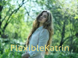 FlexibleKatrin