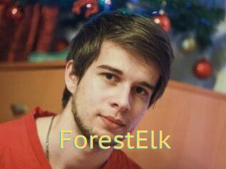 ForestElk