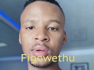 Figowethu