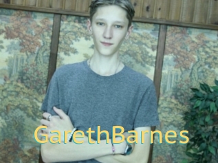 GarethBarnes