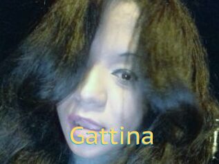 Gattina