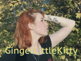 GingerLittleKitty