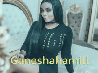 Ganeshahamill