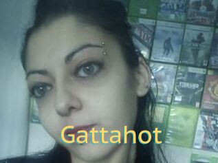 Gattahot