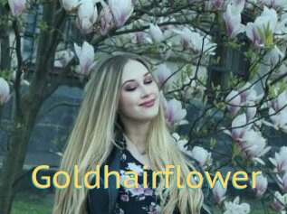 Goldhairflower