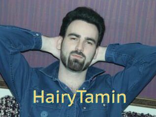 HairyTamin