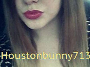 Houstonbunny713