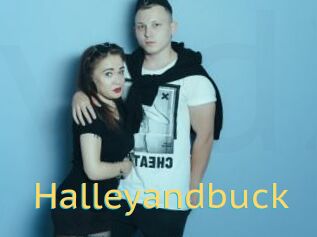 Halleyandbuck