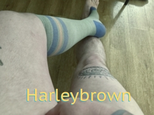 Harleybrown