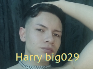 Harry_big029