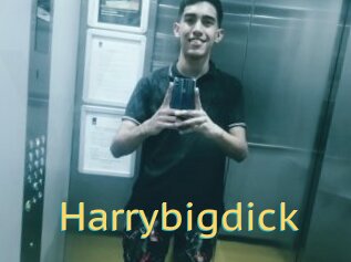 Harrybigdick