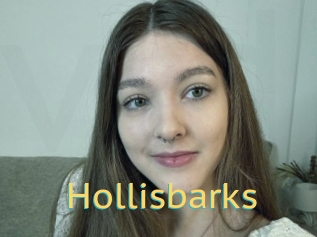 Hollisbarks