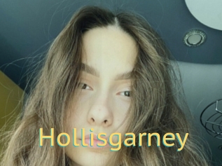 Hollisgarney