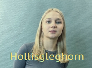 Hollisgleghorn