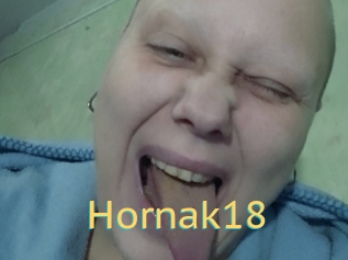 Hornak18