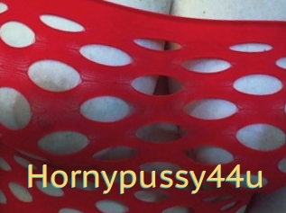 Hornypussy44u