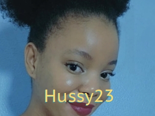 Hussy23