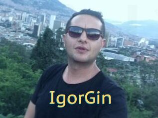 IgorGin