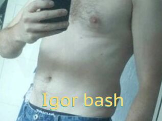 Igor_bash