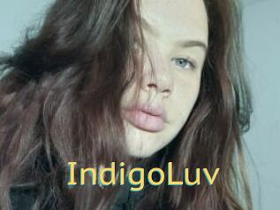 IndigoLuv