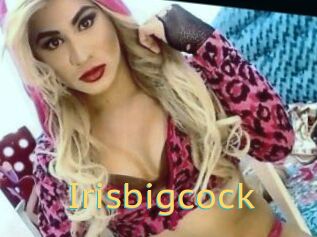 Irisbigcock