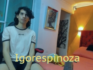 Igorespinoza