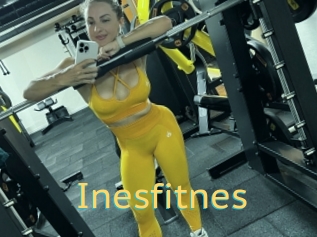 Inesfitnes