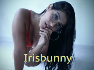 Irisbunny