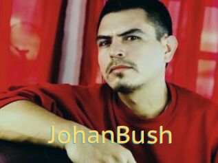 JohanBush