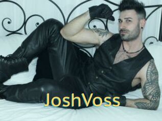JoshVoss