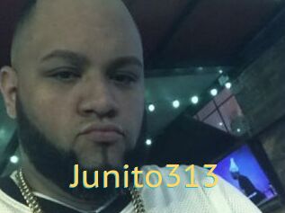 Junito313