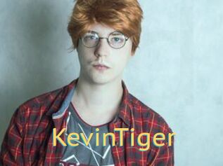 KevinTiger