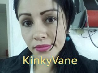 KinkyVane