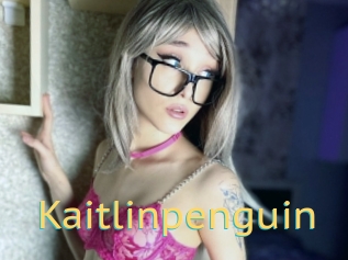 Kaitlinpenguin