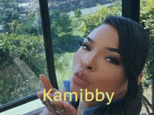 Kamibby