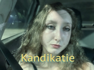 Kandikatie
