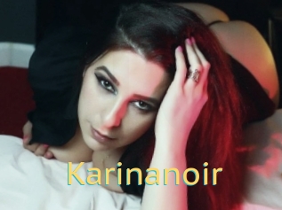 Karinanoir