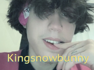 Kingsnowbunny