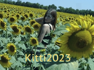 Kitti2023