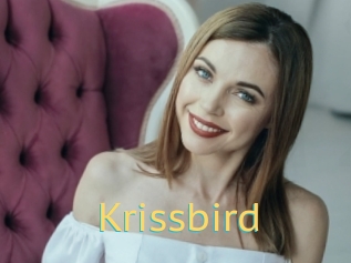 Krissbird