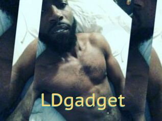 LDgadget