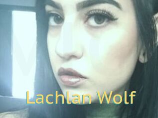 Lachlan_Wolf