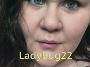 Ladybug22