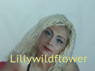 Lillywildflower