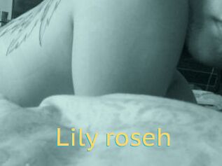 Lily_roseh