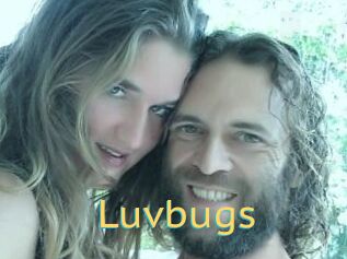 Luvbugs