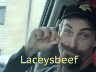 Laceysbeef