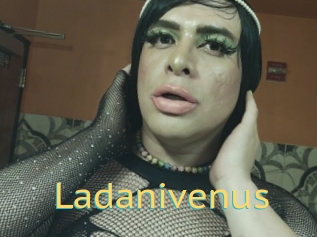 Ladanivenus